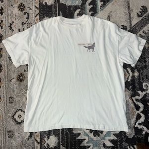 Abercrombie & Fitch Mens Graphic Tee